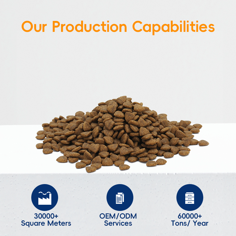 Best Dry Cat Food for Healthy Weight Management in Cats