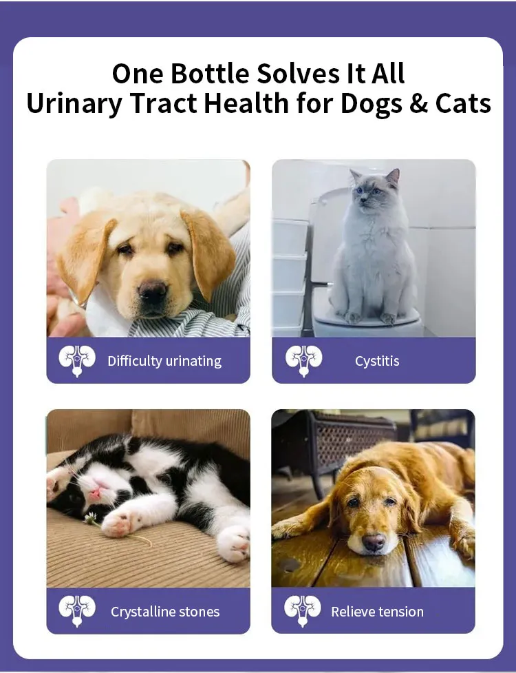 Urinary Tract Stone Removal Supplement for Pets