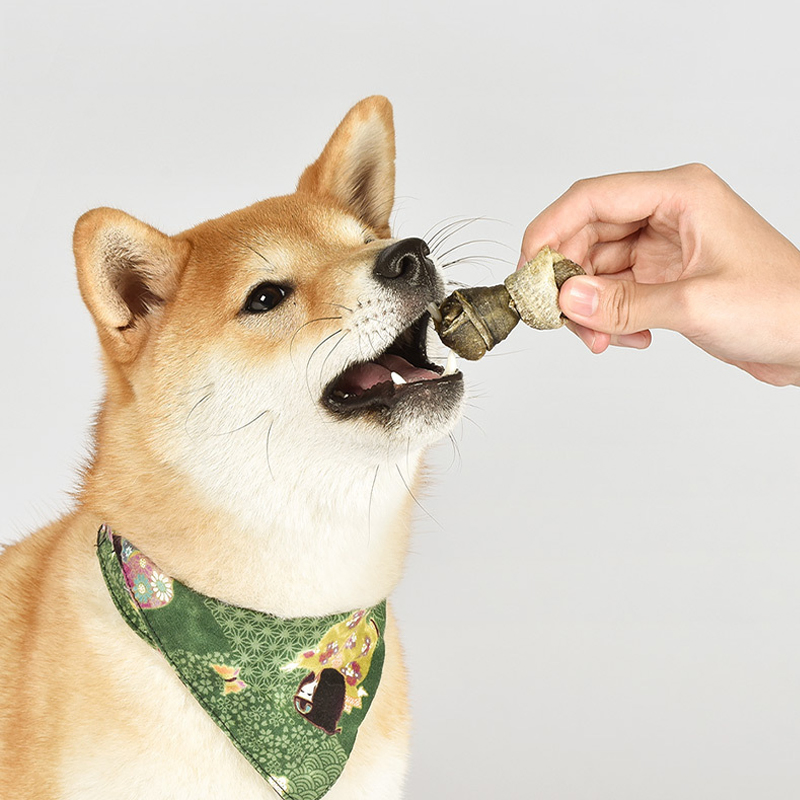 Digestive Health Organic Dried Pet Food in Various Flavor