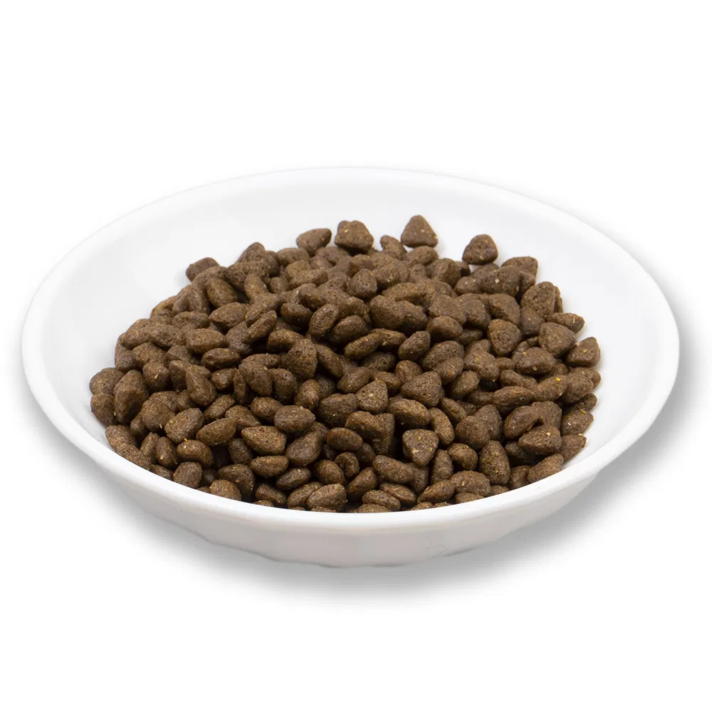 Cat Food Supplier OEM Cat Food Factory From China for Cat Dry Food Pet Food