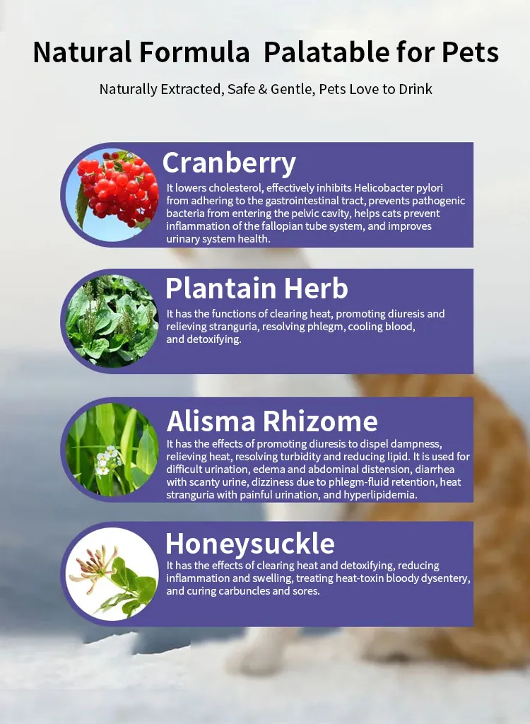 Herbal Urinary Support 5