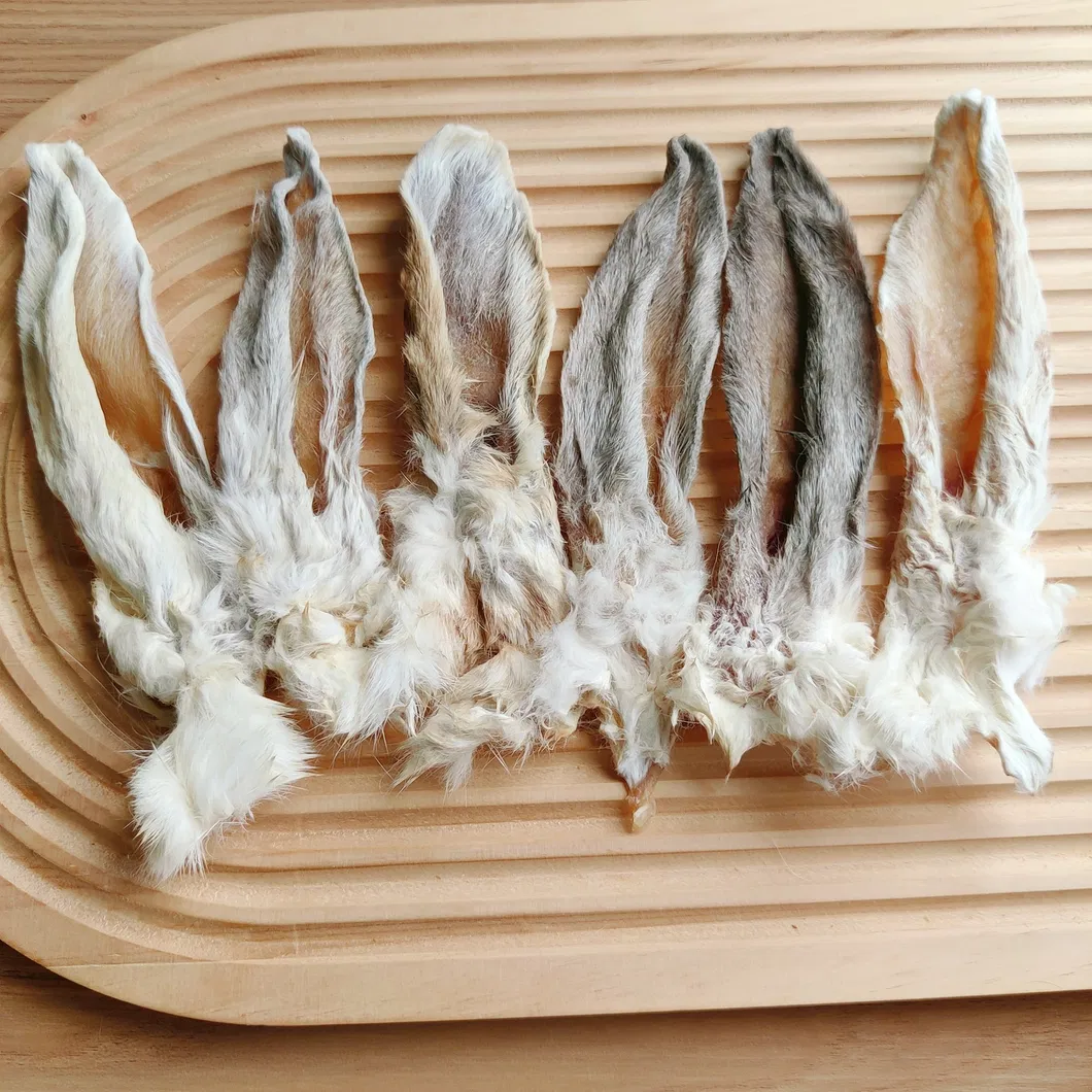 Rabbit Ears Detail 3