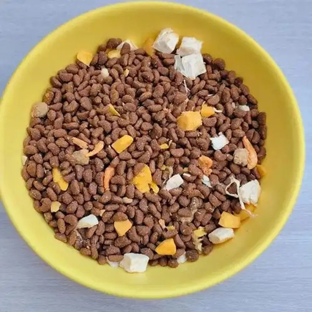 Healthy Natural High Energy Dry Dog Food Pet Food