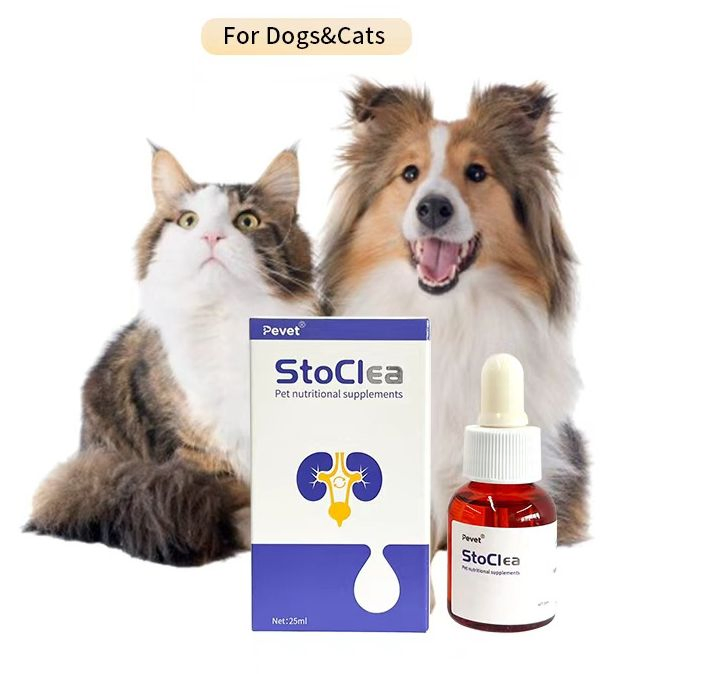 Vet-Recommended Herbal Urinary Support for Pets