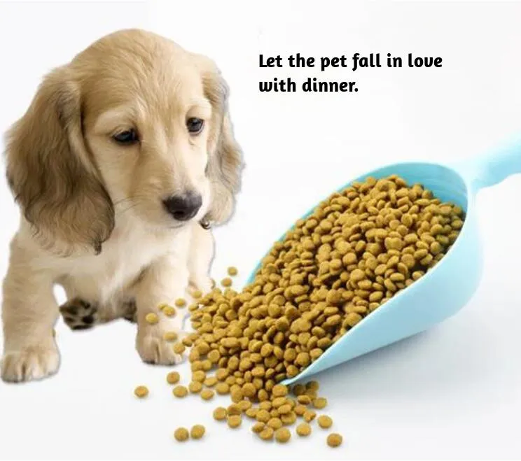 Pet Food Display