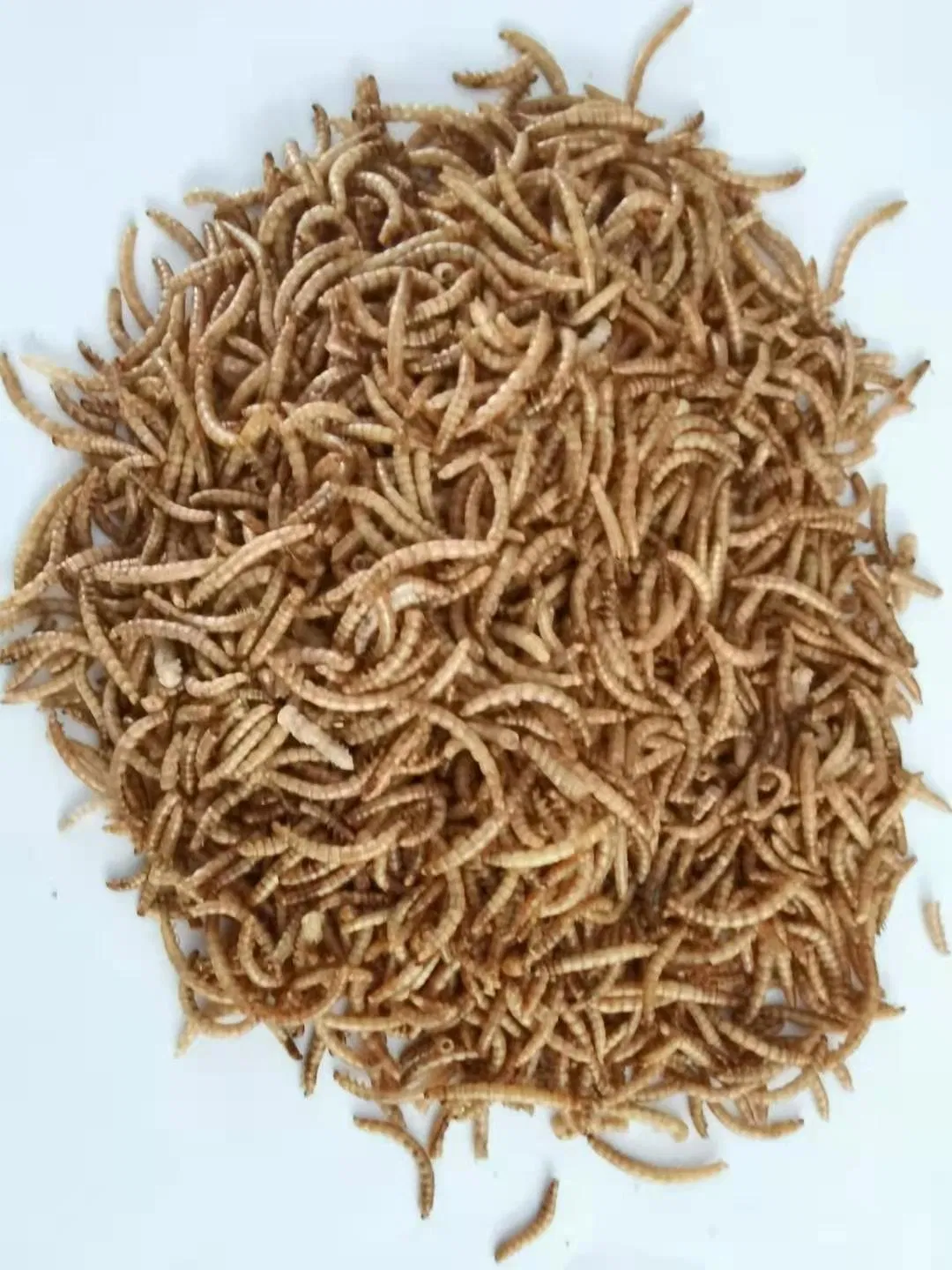High Protein Pet Food Wholesalers Dried Mealworms Animal Super Worm