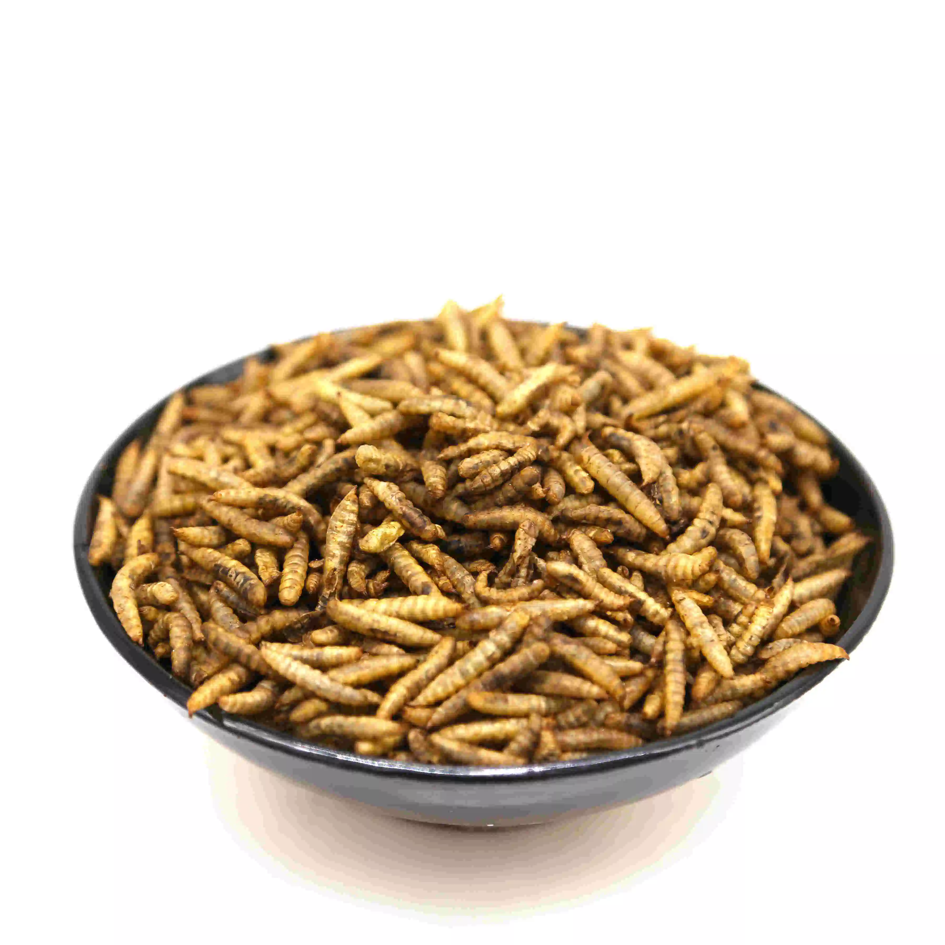 Bulk High Protein Fish Food/Bird Food/Pet Food Made of Dried Mealworms