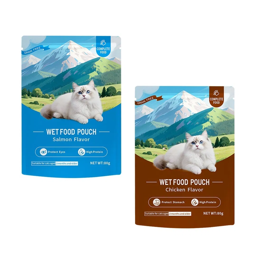 ODM High-Quality Beef Chicken Salmon Cat Wet Pouch Food Snacks for Dog