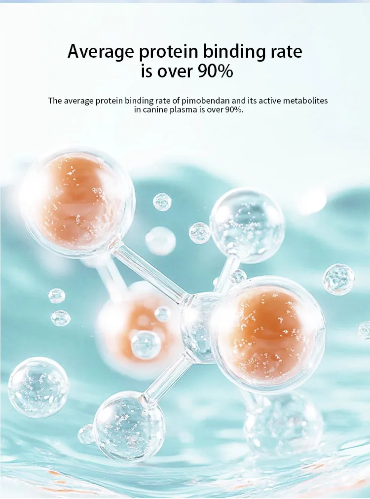 Pinobendan Tablets 5