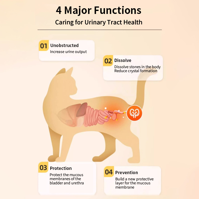 Global B2b Pet Urinary Tract Health Russia Hot Sell