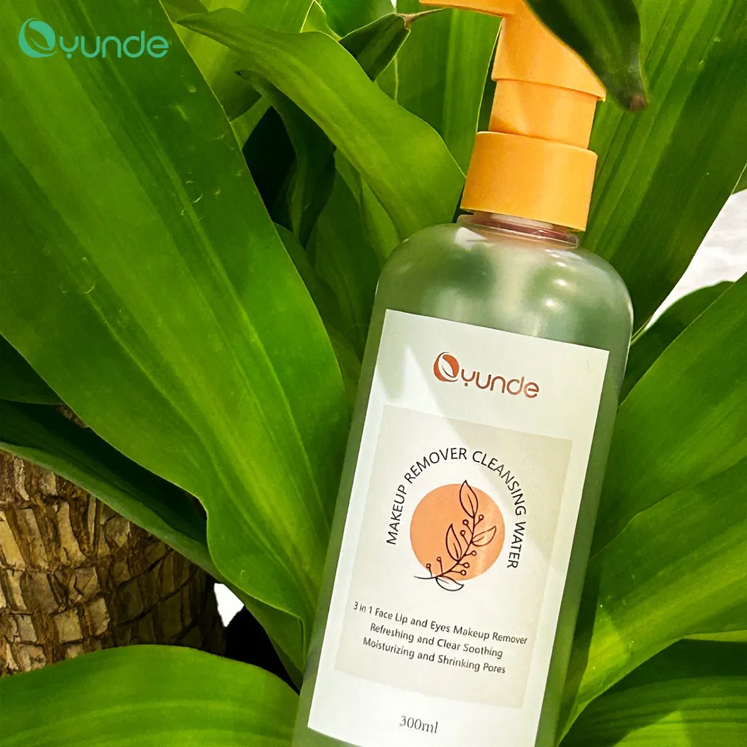 Makeup Remover Water 1