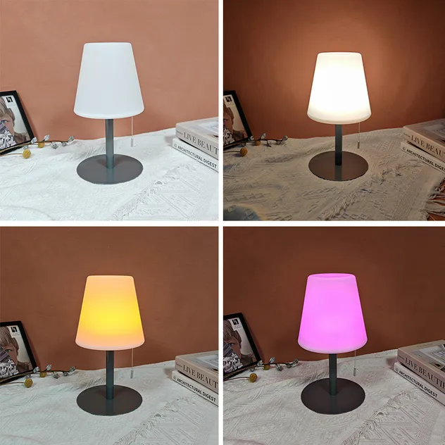 Modern Portable USB Cordless Rechargeable Table Lamp with Touch Control and Night Light