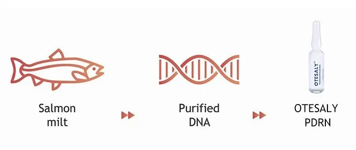 Otesaly Pdrn Solution Injectable Facial Care Skin Whitening Salmon DNA Serum Pdrn Injecction Placentex