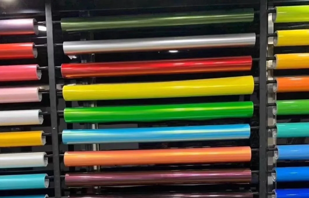 Paint Protection details