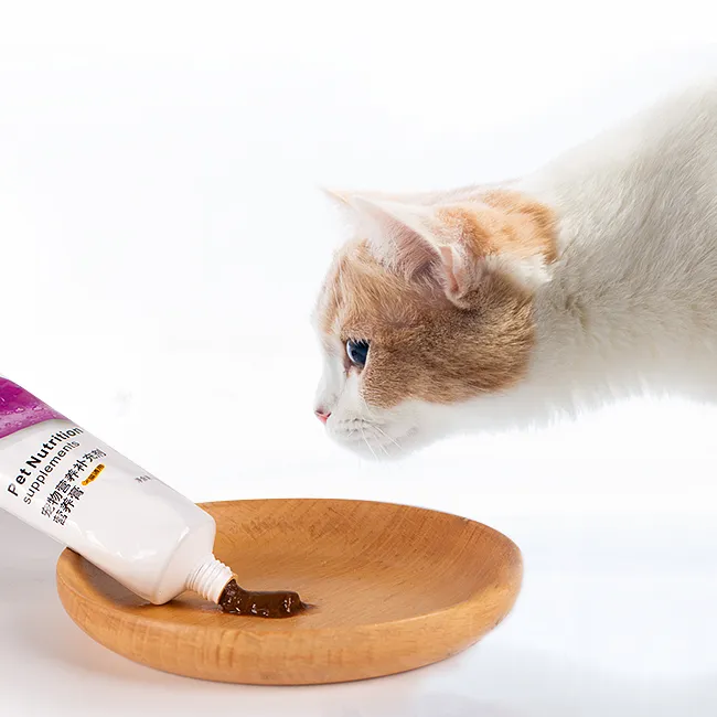Pet Treat Display 4