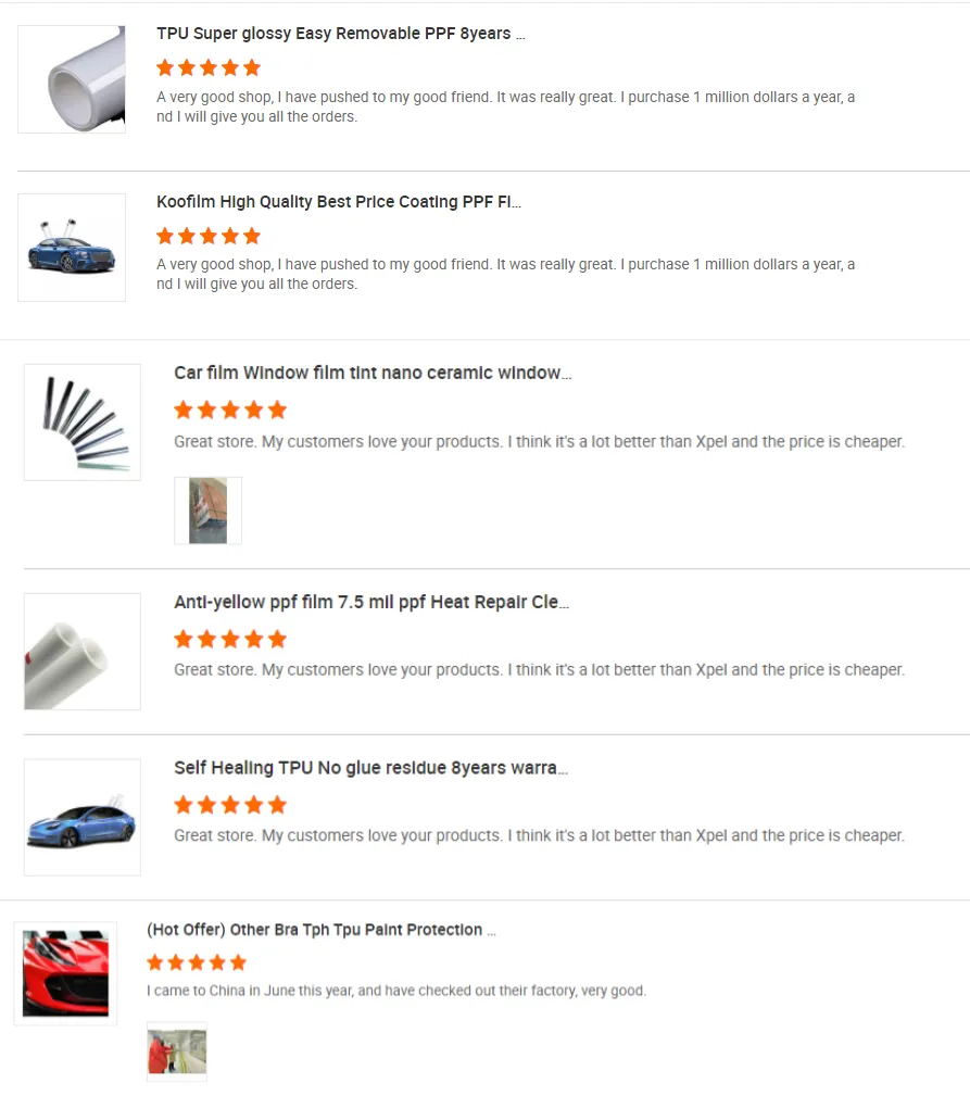 Customer review details B