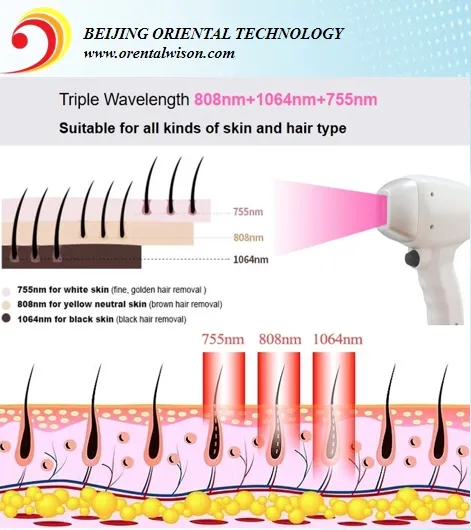 Laser Therapy 1