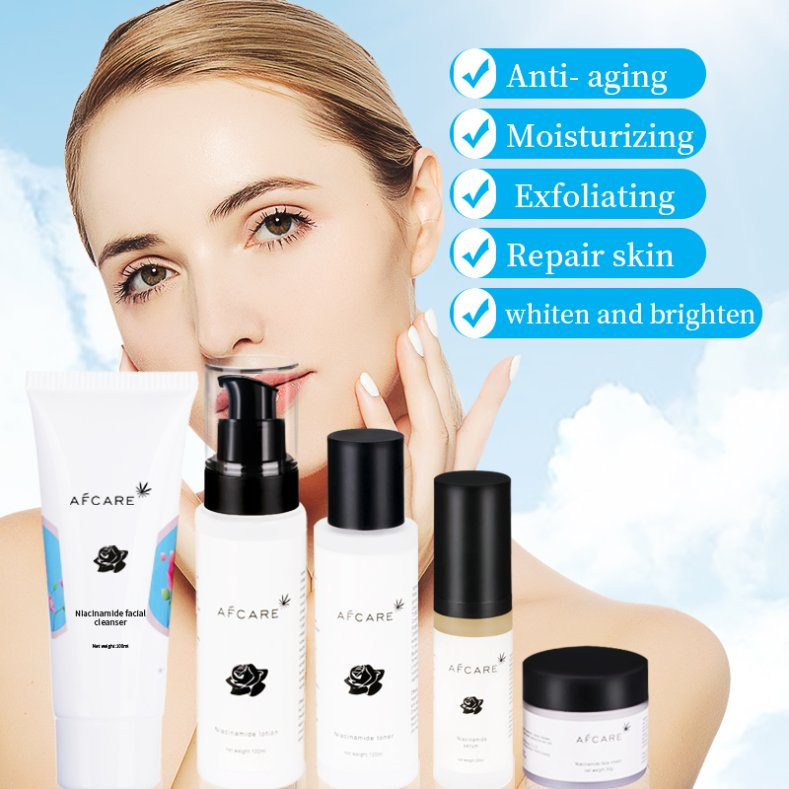 Multi-Functional Skincare OEM ODM/Private Label/Contract Manufacturing Service From Japan Cosmetic Makeup Skincare Set