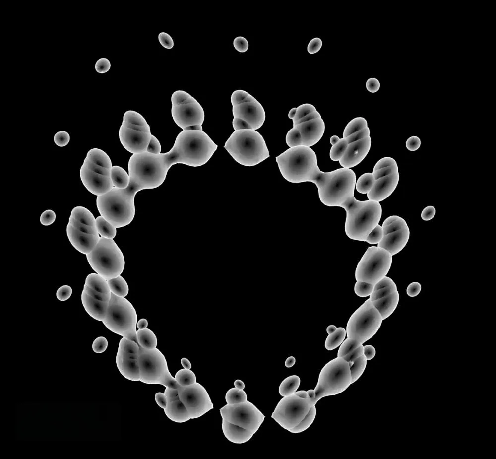 Bifida Ferment Lysate Application