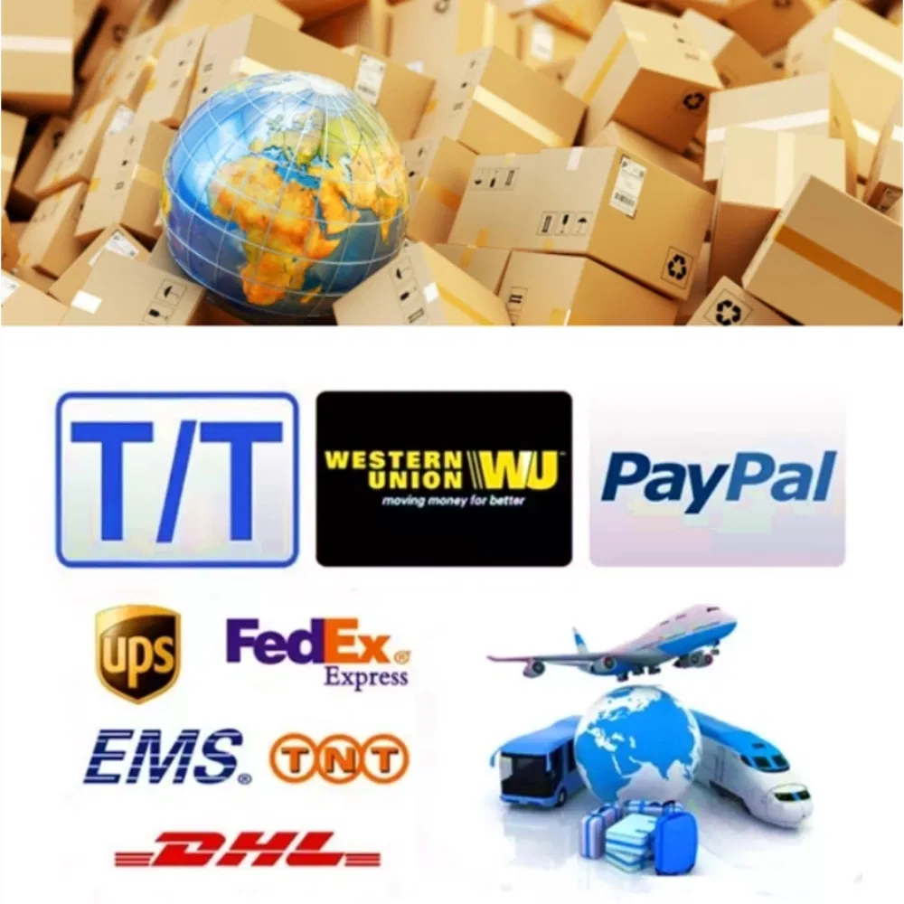 Logistics Information