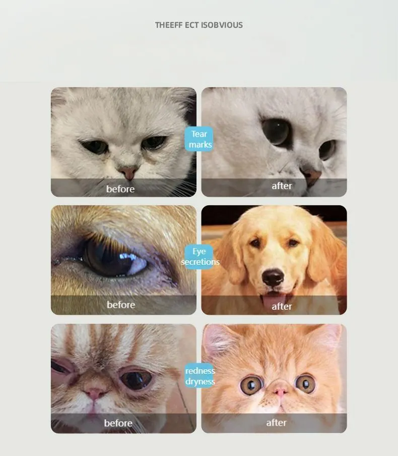 Eye Care detail 6