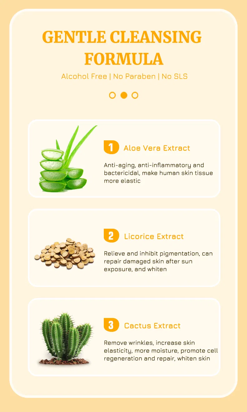Facial Cleansing Mousse 4