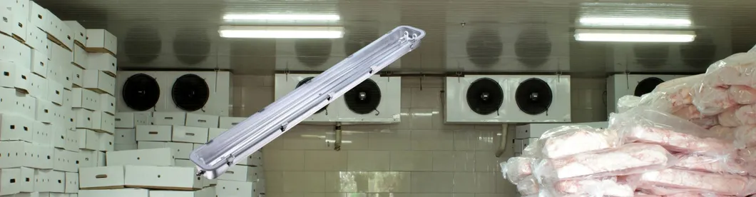 LED Tri Proof Light Overview