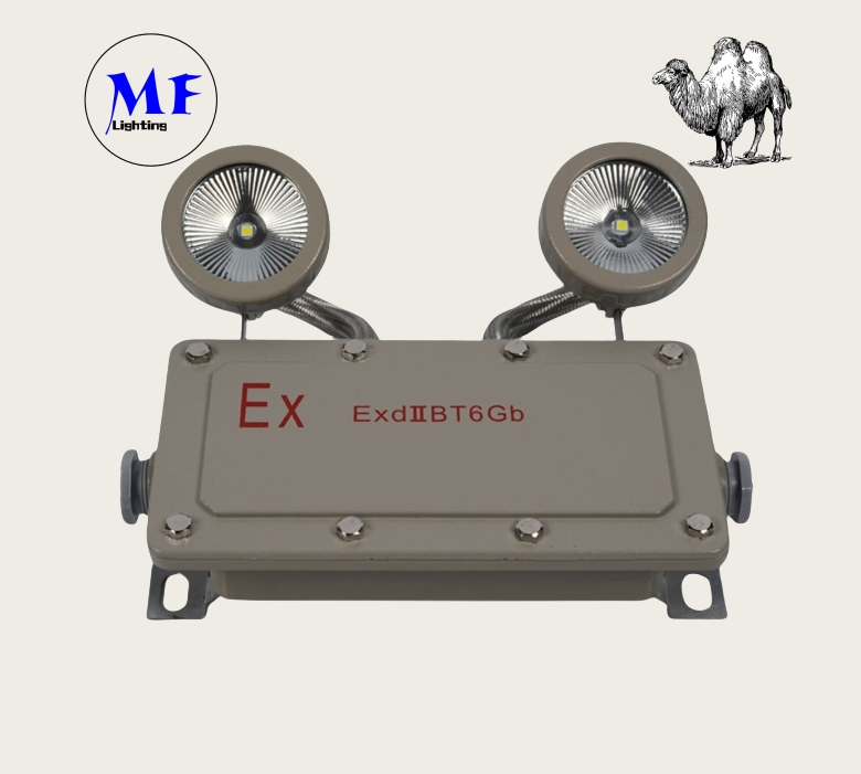 Factory Price LED Double Head Safety Exit Sign Power Outage Evacuation Sign Light Emergency Light Explosion Proof Fire Emergency Light for Chemical Plants