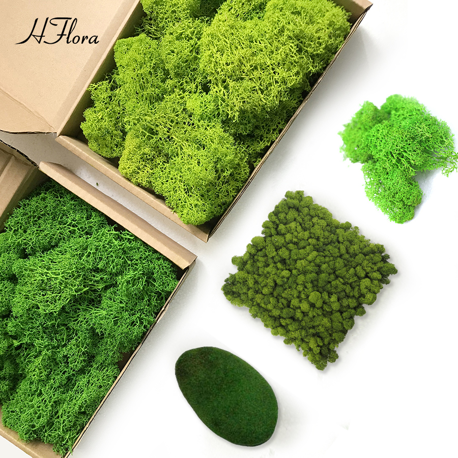 Customized Preserved Reindeer Moss Wall Panel For Home Office Decor OEM Moss Grass Long Using Wall Live Restaurant Hotel