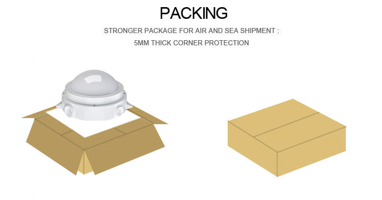 Packaging Details