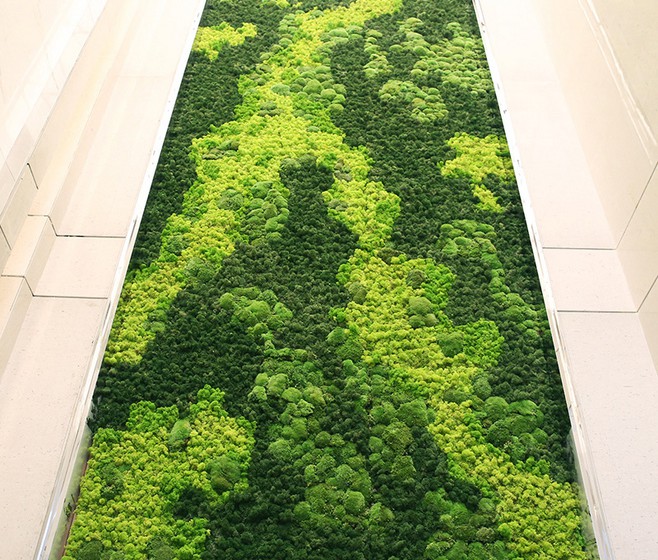 Customized Preserved Reindeer Moss Wall Panel For Home Office Decor OEM Moss Grass Long Using Wall Live Restaurant Hotel