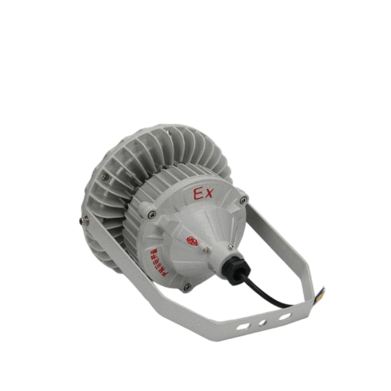 318X218X166mm (100W) LED Explosion - Proof Flood Light