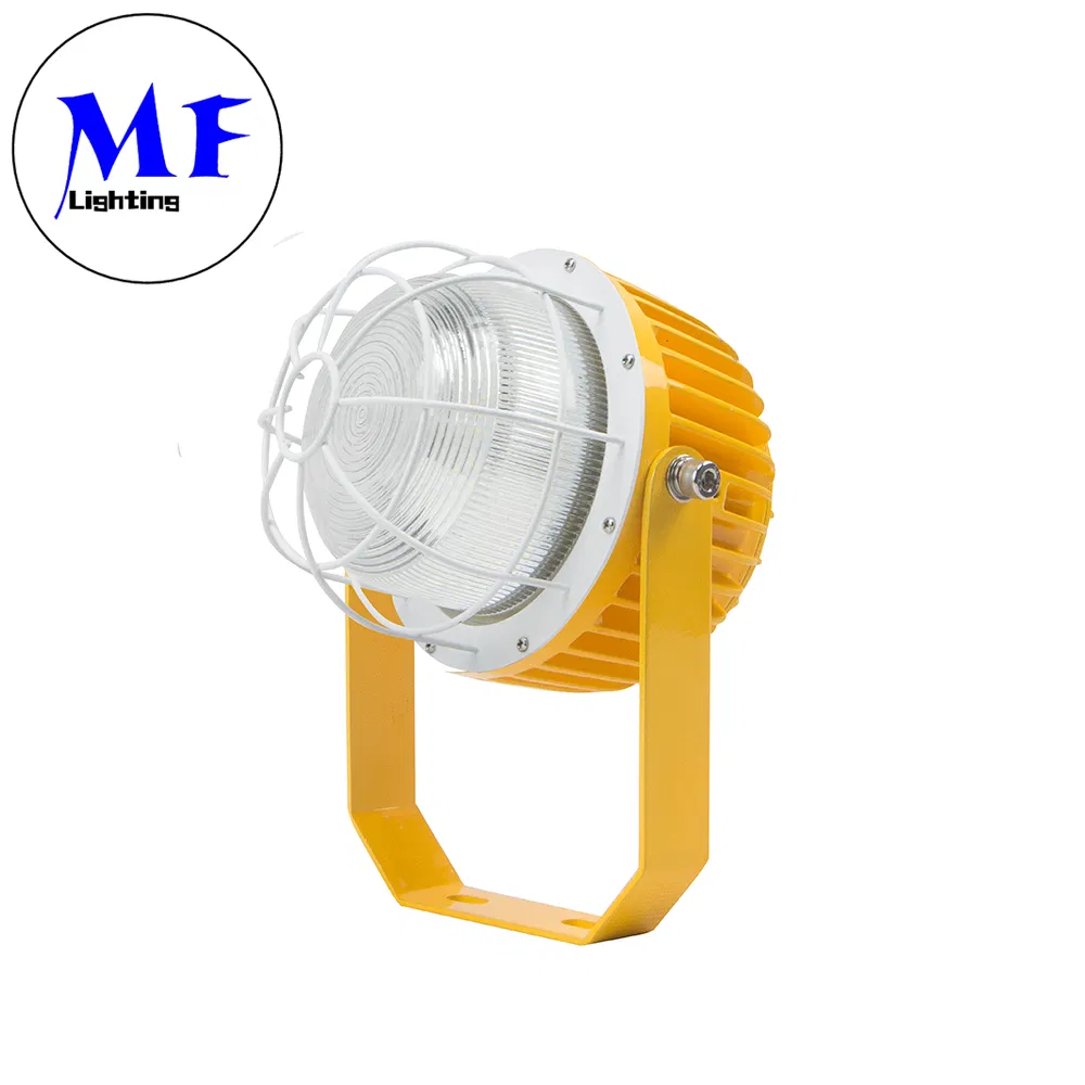40W 60W 80W 100W 200W ATEX Certificate Oil and Gasoline Harsh Environment Explosive Zone Wall Ceiling Hanging LED Explosion Proof Light Bulb