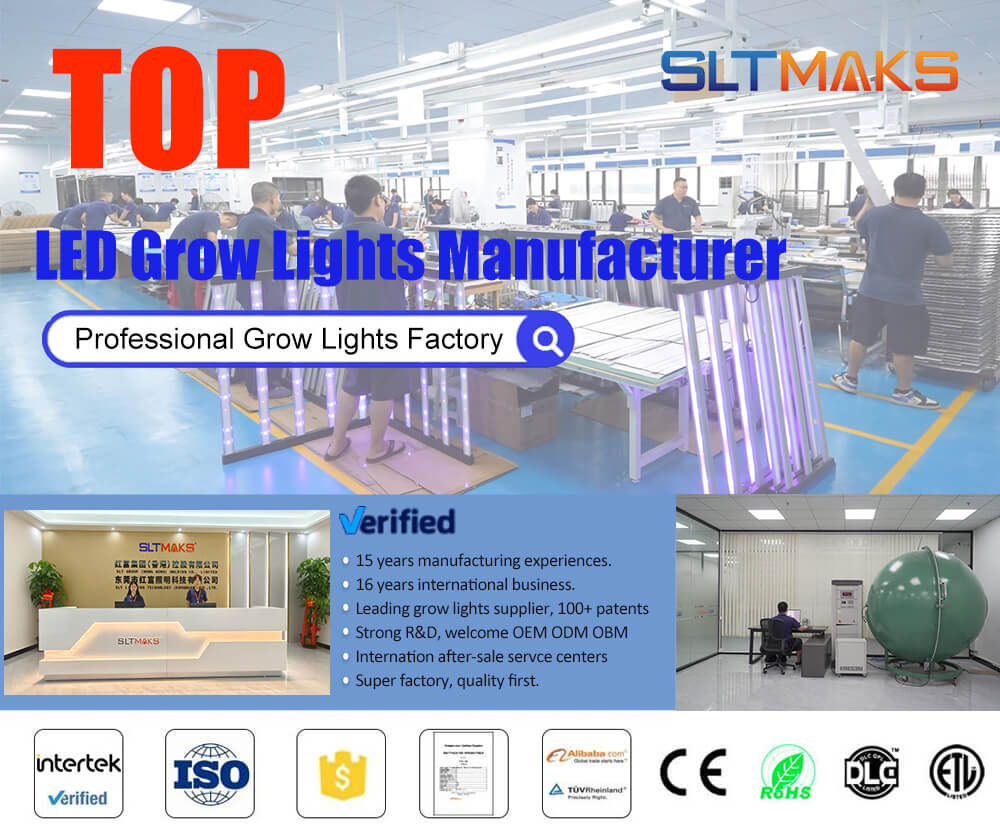 Under Canopy Led Light 9