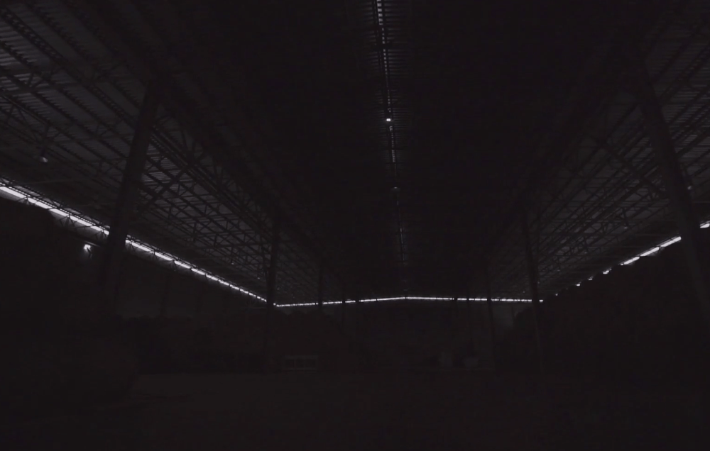 High Bay Light 4