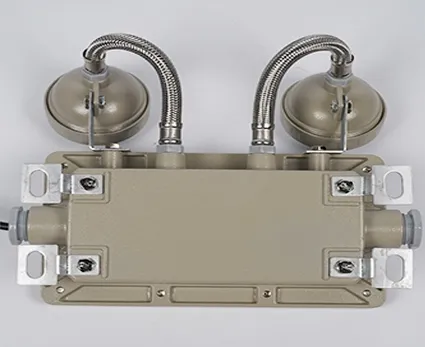 Portable