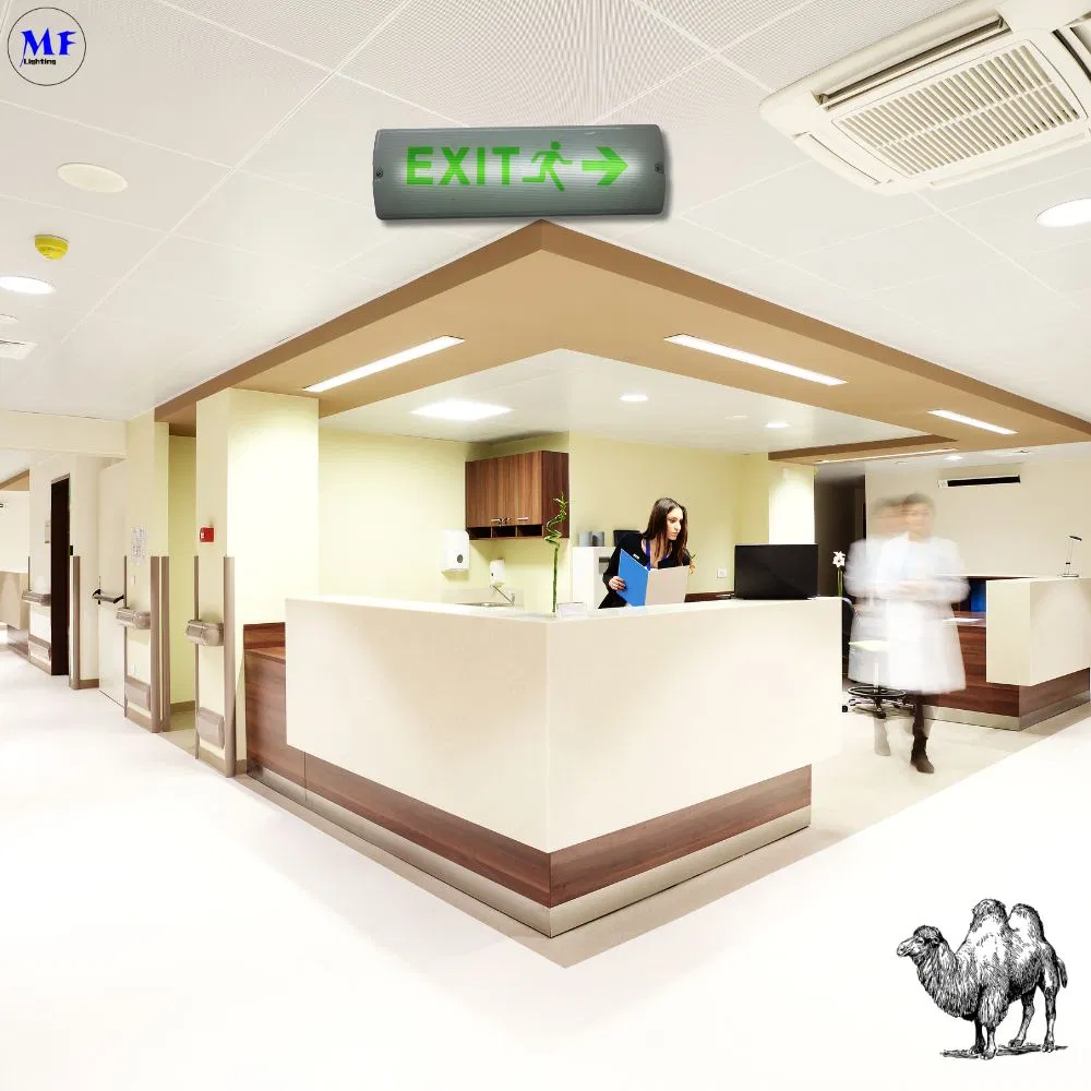 Function Display