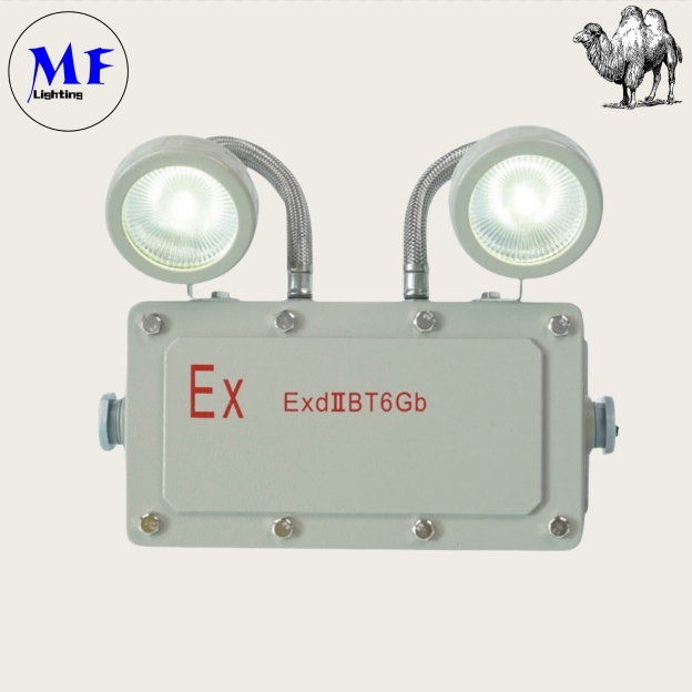 Factory Price LED Double Head Safety Exit Sign Power Outage Evacuation Sign Light Emergency Light Explosion Proof Fire Emergency Light for Chemical Plants