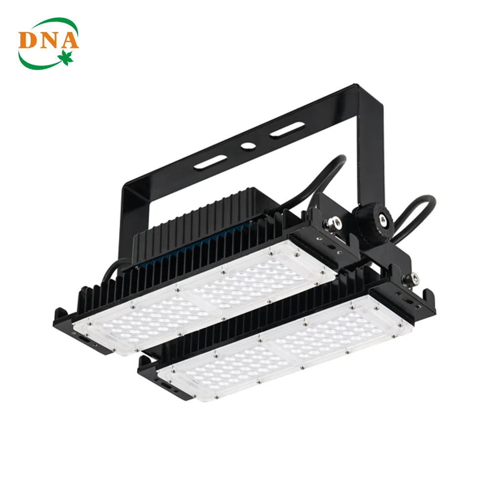 Outdoor Weatherproof Explosion-Proof IP66 1800K-7500K 30W 50W 100W 150W 200W 300W LED Flood Light for Football Stadium Sport Court