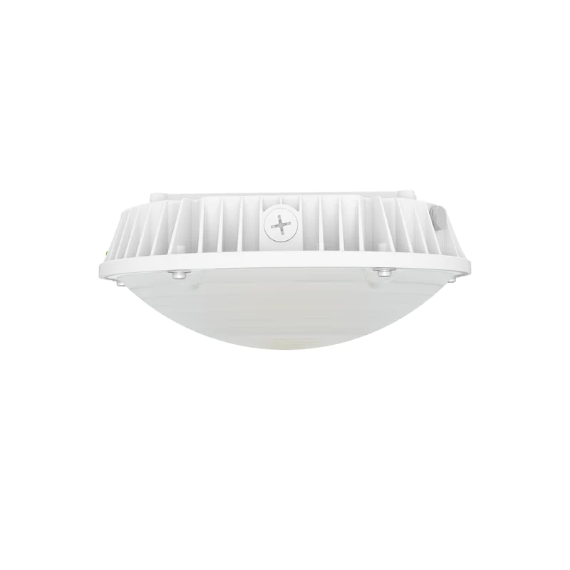 LED Canopy Light
