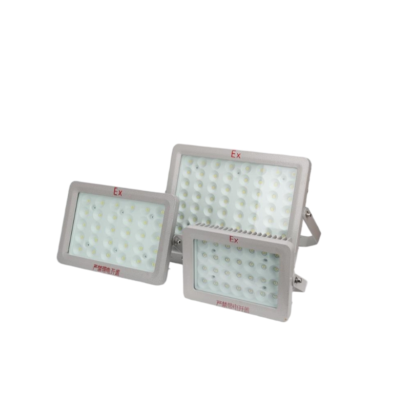 318X218X166mm (100W) LED Explosion - Proof Flood Light