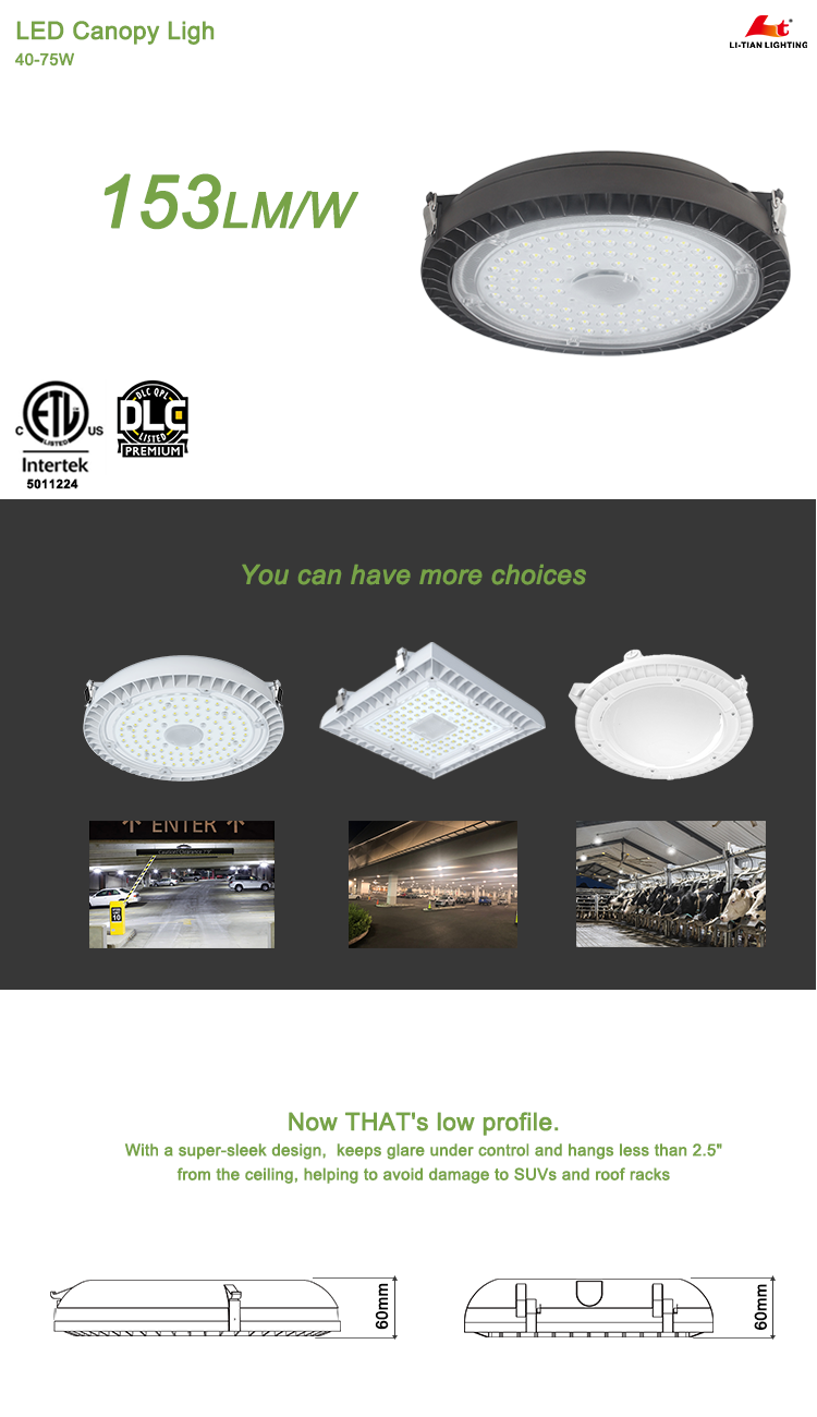 Led Canopy Light