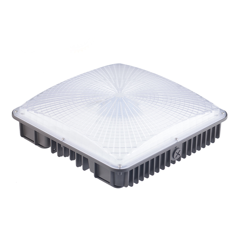 LED Canopy Light 1