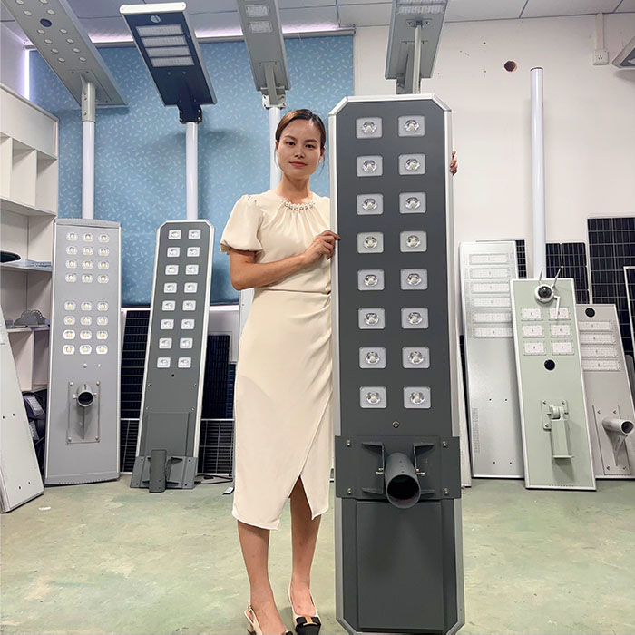 Wholesale Price All in One Solar Street Light Integrated with Intelligent Solar Street Lamps and Surveillance Cameras