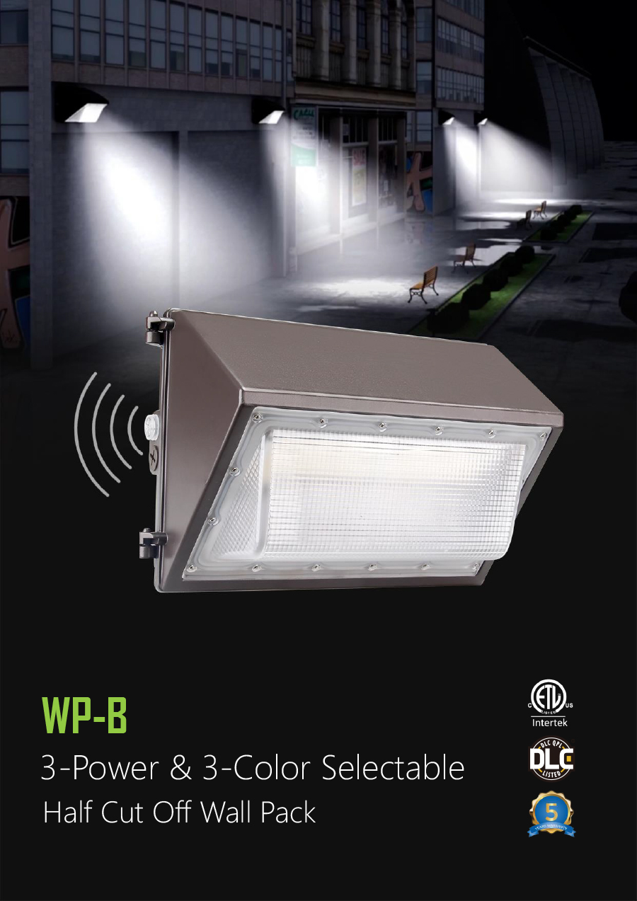 LED Wall Pack Light