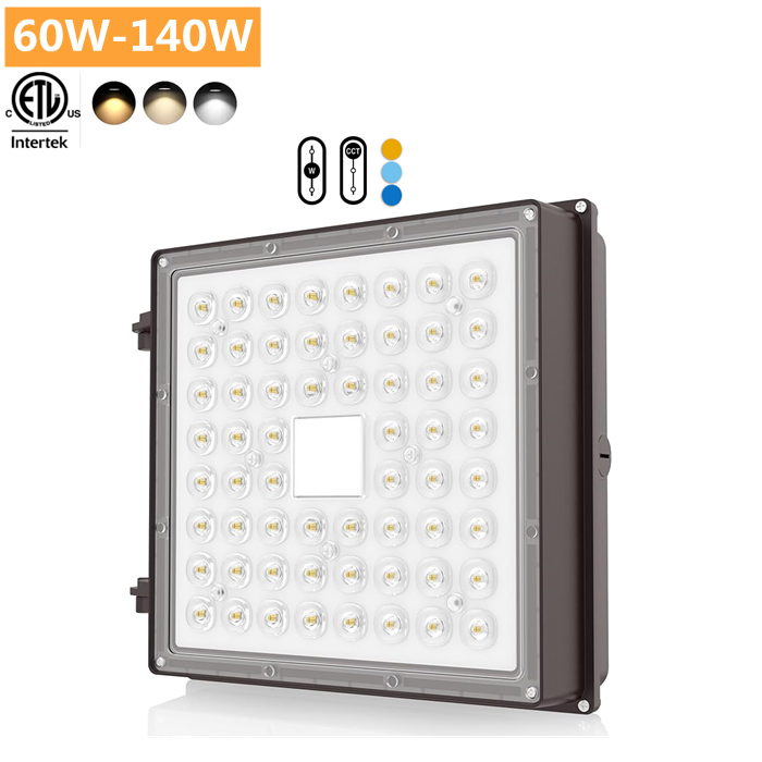 10KV 20KV Flicker Free Explosion Proof Gas Station Led Canopy Light ETL FCC SAA BIS 60w 80w 100w120w 140w 200w