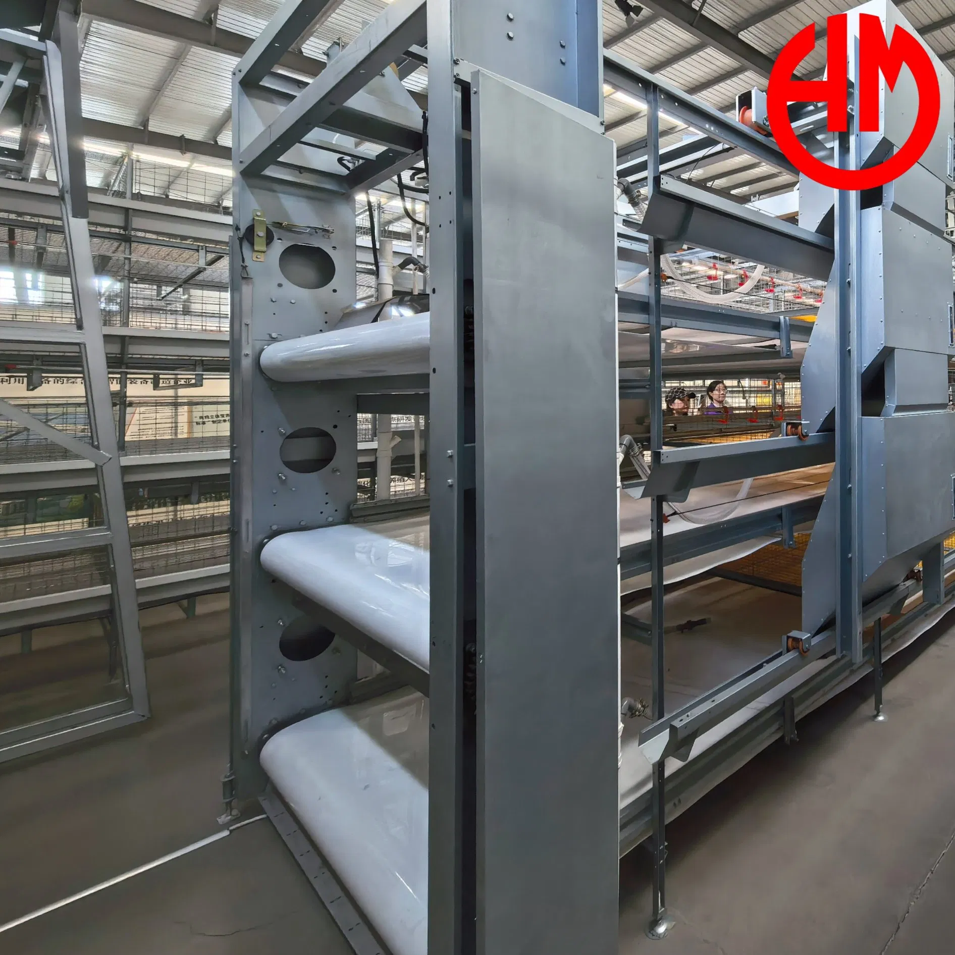 Easy Install Poultry Farming Layer Chicken Cage PP Manure Conveyor Belt Equipment