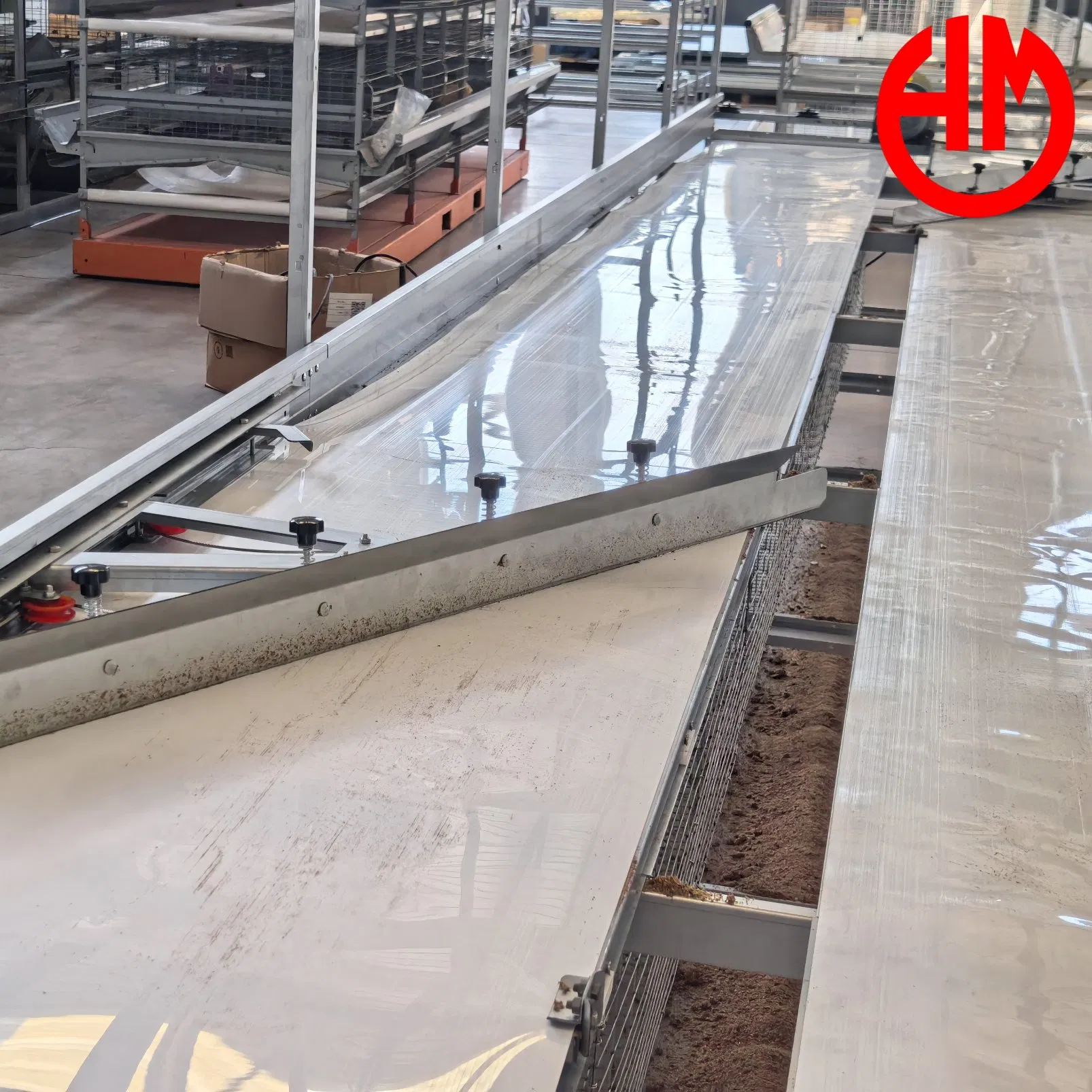 Easy Install Poultry Farming Layer Chicken Cage PP Manure Conveyor Belt Equipment