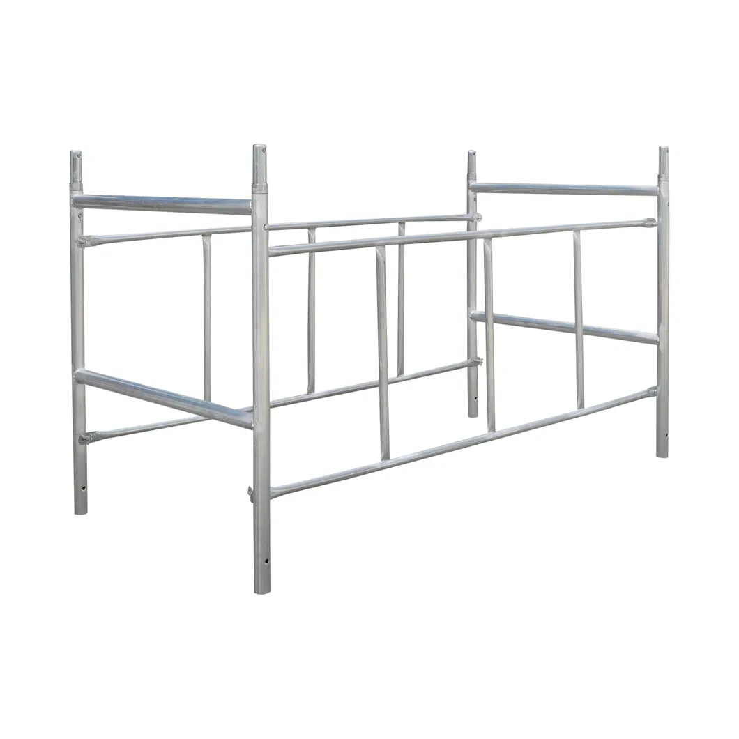 Scaffolding Detail 2