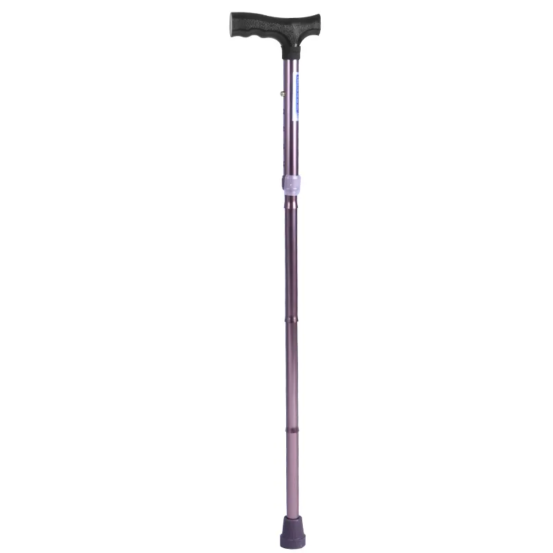 Walking Cane 1